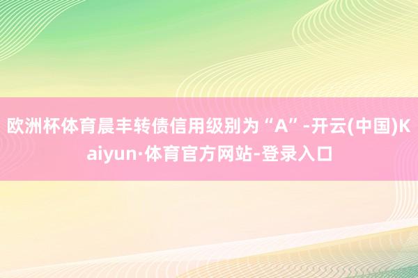 欧洲杯体育晨丰转债信用级别为“A”-开云(中国)Kaiyun·体育官方网站-登录入口