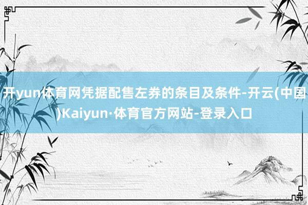 开yun体育网凭据配售左券的条目及条件-开云(中国)Kaiyun·体育官方网站-登录入口