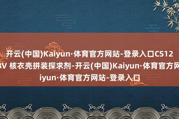 开云(中国)Kaiyun·体育官方网站-登录入口CS12088 属于 HBV 核衣壳拼装探求剂-开云(中国)Kaiyun·体育官方网站-登录入口